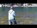 Borken landar och återutsätter 11,5 kg lax