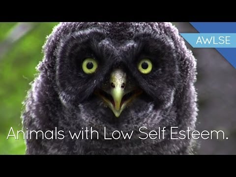 how to have self esteem when you're ugly
