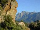 florenti.html