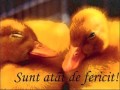 ce suflet iubire