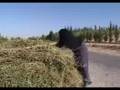 UNDP: Wastewater recycling in Jordan