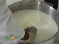 Fromage LÈT AGOGO ( vèsyon kreyòl)