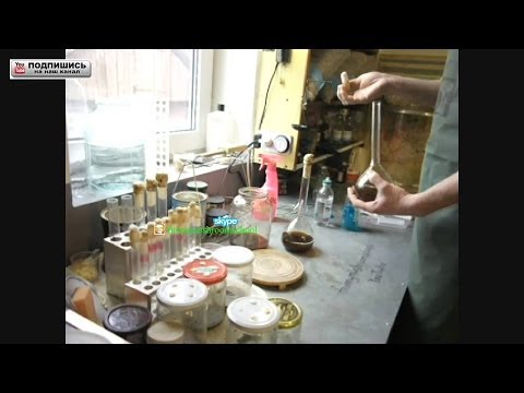 Питательные среды своими руками Питательные среды своими руками