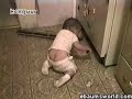 the oshite clip