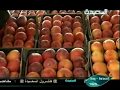 الموسوعة الخضراء 10-10--2012م - المانجو