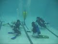 Discover scuba diving - Essais de plongée Discover scuba diving - Essais de plongée
