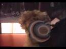 Sam Kinison-Wild Thing