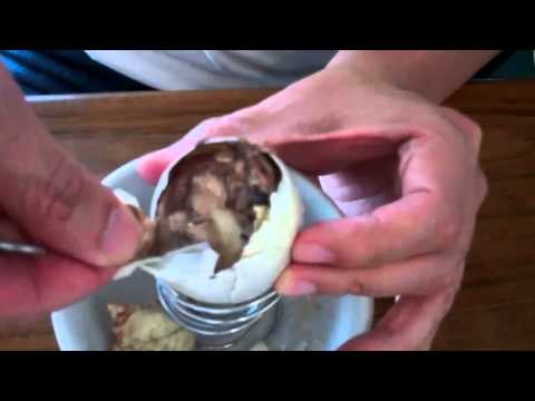 how to fertilized duck eggs