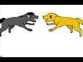 dogs