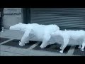environmental-defense-fund-polar-bears.html