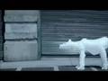 Environmental Defense Fund - Polar Bears