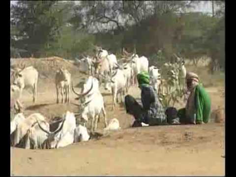 SENEGAL: Turismo Responsabile videoclip by SDF