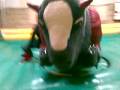 videos de Davide el torero