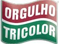 o fluminense somos nós 2   libertadores