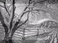 white-winter-hymnalfleet-foxes.html