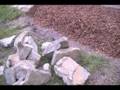 Easy gardens with Al Funke Episode 2 part 2