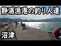 沼津市 静浦漁港と釣りをする人々 People enjoy fishing in Numazu, Shizuoka Prefecture
