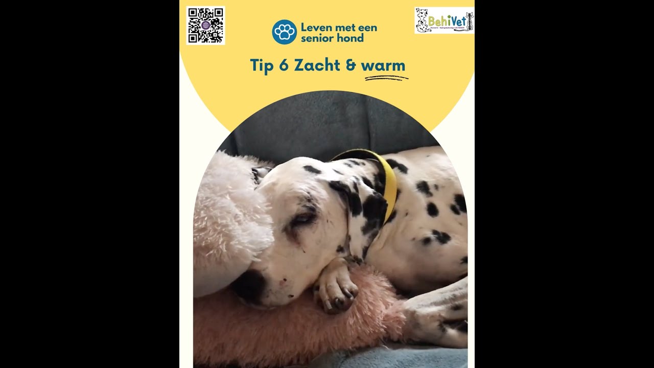 TIP 6 – Zacht & warm