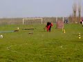 Politiehond Glabbeek