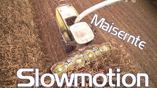 Maisernte in Slowmotion - Luftaufnahme