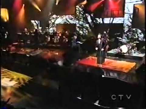 kd lang: 