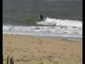 videos Surf
