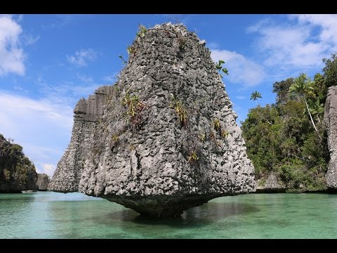 YouTube reptile video