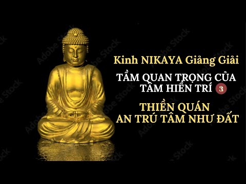 Kinh NIKAYA Giảng Giải - Tầm Quan Trọng Của Tâm Hiền Trí 3 - Thiền Quán -  An Trú Tâm Như Đất