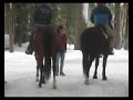 Visiting N.H. neighbors by horseback