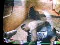 videos de L4D - Zombie Humps Box
