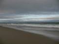 Nature #5