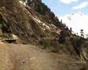 Apenrose Naturpark Zillertal