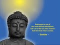 Buddha Wisdoms Great Compassion Mantra