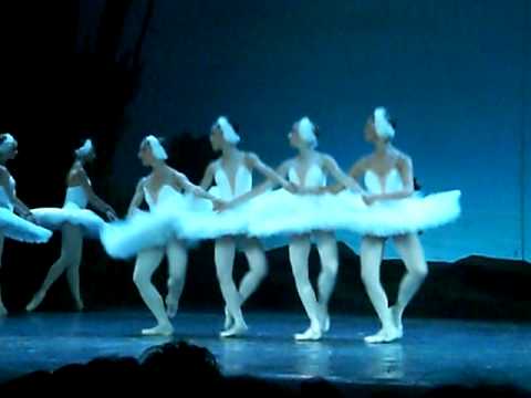 Чайковский. Танец маленьких лебедей (Dance of small swans)