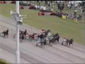 English Elegance - NZ Cup Day 2000 Manele-Gratis.net