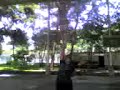 oso cristian oso cristian