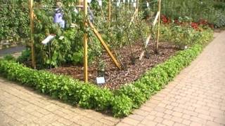 #140 Walderdbeeren als Beeteinfassung - gefilmt in Wisley