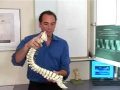 What is Chiropractic?  Radhia vists Dr. Mike Maggio for some anwers.