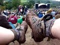 Greenman Festival 2008
