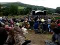Greenman Festival 2008