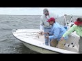 Giant Carolina Red Drum HD! Chew On This