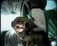TV Spot Amatori Alghero Rugby and Marco Bollesan against drugs / Nencio Director Francesco Nencini