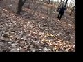 the urkey the urkey