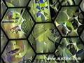 Boston Museum of Science Polage Art by Austine Wood Comarow