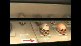 Museum Geologi Bandung Indonesia, INSIDE