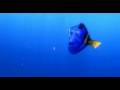 Dori Feat. Schwibbel Schwabbel xD