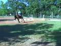 Jump 1