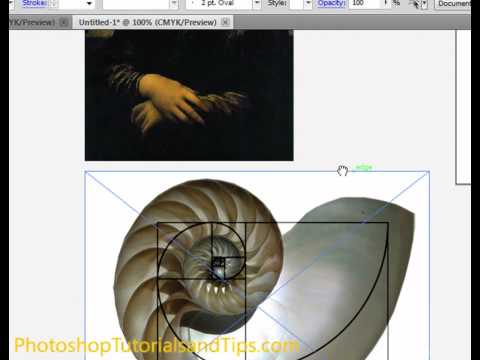 video-linktoworks-Divine Proportion or Golden Ratio in Adobe Illustrator
