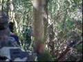 Ver Video