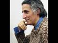Morgh Sheyda - Mohsen Namjoo